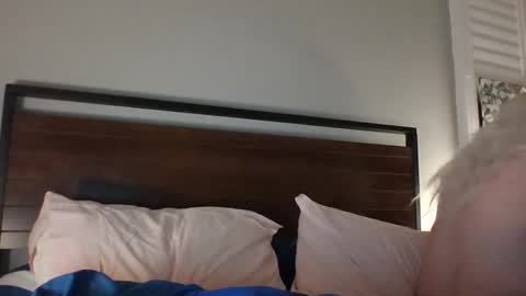 Snapshot of bawblejam chatting on 12-14-24, 11:29 BjBambi online show from 12-14-24, 11:29