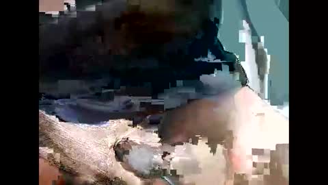 Snapshot of bbcbrazilianboy chatting on 09-28-25, 04:18 bbcbrazilianboy online show from 09-28-25, 04:18