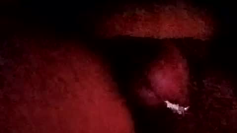 Snapshot of bcfalcon69 chatting on 01-19-26, 06:06 bcfalcon69 online show from 01-19-26, 06:06