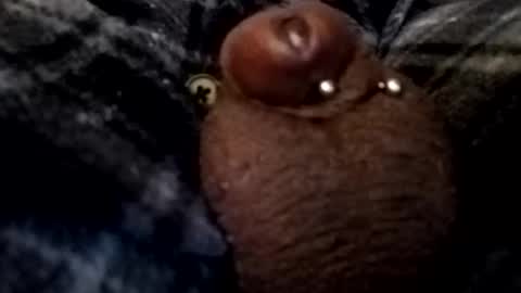 Snapshot of bcfalcon69 chatting on 02-26-26, 05:06 bcfalcon69 online show from 02-26-26, 05:06