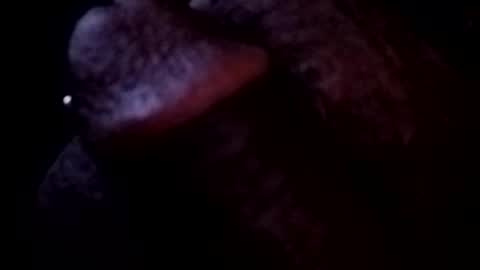 bcfalcon69 online show from 05-03-26, 03:45