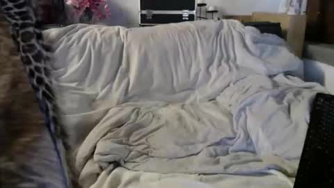 Snapshot of beachymilf chatting on 05-29-26, 08:40 BeachyMILF online show from 05-29-26, 08:40