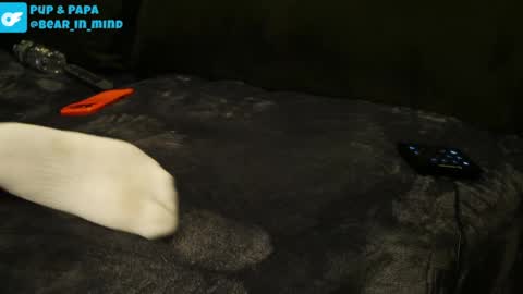 BareBear online show from 04-22-26, 01:19