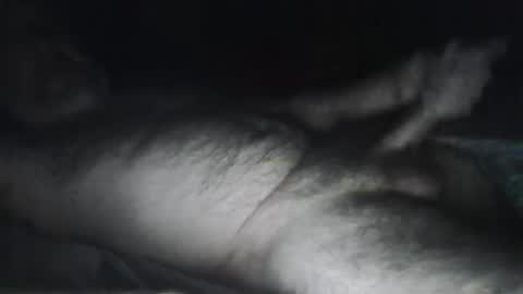 Snapshot of beastiejam2000 chatting on 01-31-25, 04:25 beastiejam2000 online show from 01-31-25, 04:25