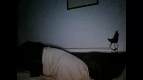 Snapshot of beatlebut chatting on 10-01-25, 06:25 beatlebut online show from 10-01-25, 06:25