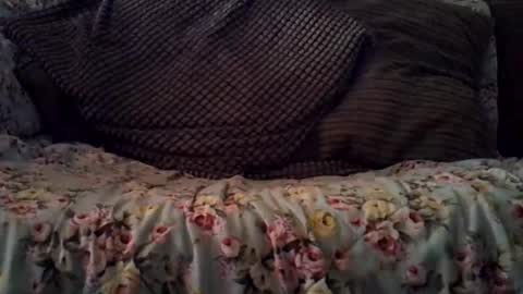 beatlebut online show from 10-16-25, 03:18