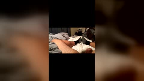 beaverwatcher online show from 04-12-26, 01:32