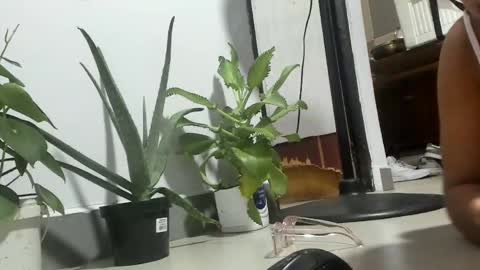 Snapshot of bebesitadiaz chatting on 04-11-26, 02:27 bebesita online show from 04-11-26, 02:27