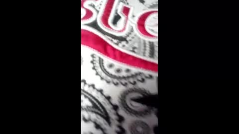 bebyhardsex online show from 03-17-26, 02:09