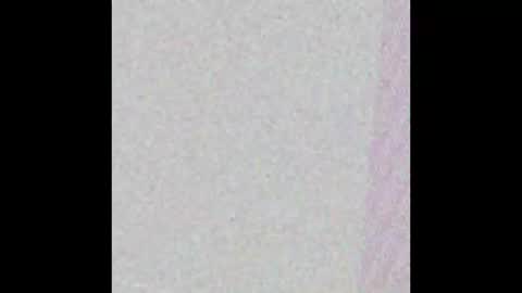 hungnheavy online show from 11-01-25, 07:49