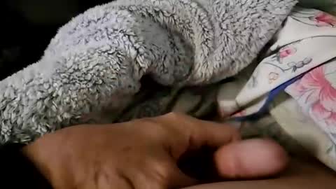 Snapshot of beepermon chatting on 09-22-25, 12:51 beepermon online show from 09-22-25, 12:51