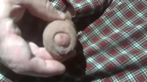 Snapshot of beer27 chatting on 12-28-24, 12:15  Reservoir Dogs online show from 12-28-24, 12:15