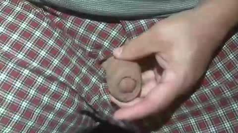 Snapshot of beer27 chatting on 10-20-25, 02:12  Reservoir Dogs online show from 10-20-25, 02:12