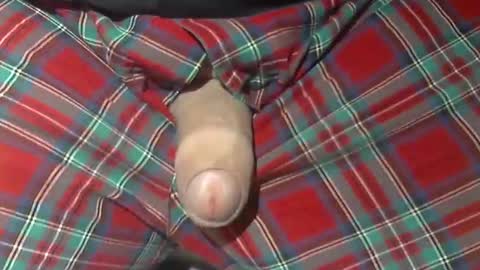 Snapshot of beer27 chatting on 10-21-25, 10:05  Reservoir Dogs online show from 10-21-25, 10:05