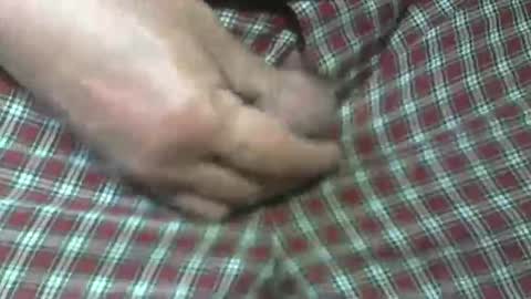 Snapshot of beer27 chatting on 10-31-25, 05:47  Reservoir Dogs online show from 10-31-25, 05:47