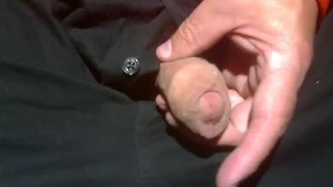 Snapshot of beer27 chatting on 11-02-25, 01:41  Reservoir Dogs online show from 11-02-25, 01:41