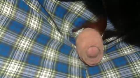 Snapshot of beer27 chatting on 11-02-25, 09:06  Reservoir Dogs online show from 11-02-25, 09:06