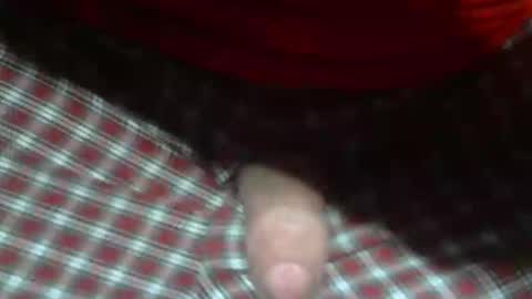  Reservoir Dogs online show from 02-05-26, 12:48