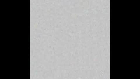 Zia online show from 01-13-25, 12:09