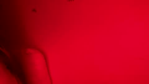 Snapshot of belle_marie chatting on 11-09-25, 08:12 Belle xx online show from 11-09-25, 08:12