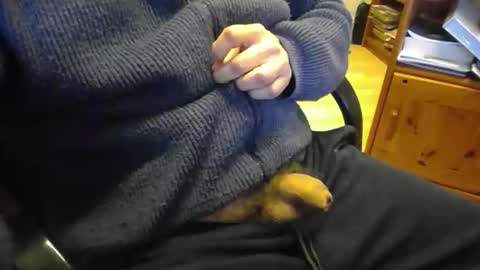 jaimetout online show from 04-21-26, 12:33