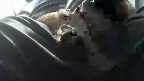 Snapshot of beninoam75 chatting on 10-15-25, 07:03 beninoam75 online show from 10-15-25, 07:03