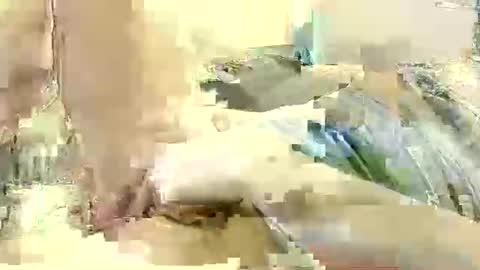 Benutzmich0800 online show from 12-08-24, 11:19