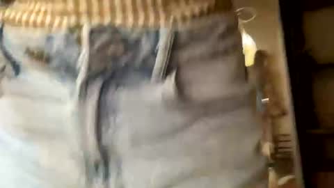 BertaxSmily online show from 07-18-26, 08:40