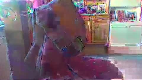 bestmann979994 online show from 03-01-26, 04:20