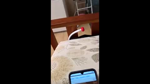 Snapshot of bf2506 chatting on 02-12-26, 04:18 bf2506 online show from 02-12-26, 04:18