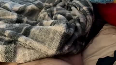 Snapshot of bi_guy_1993 chatting on 02-24-25, 03:20 bi_guy_1993 online show from 02-24-25, 03:20