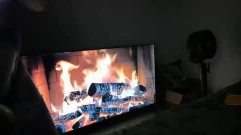 bigbuttsarena online show from 06-25-26, 04:56
