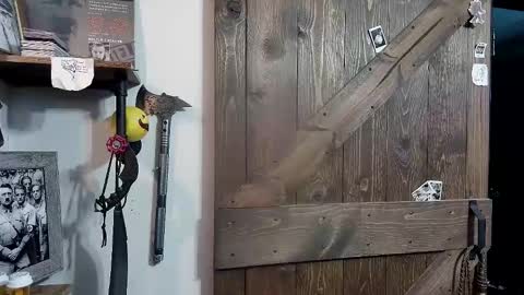 Darryl online show from 02-12-25, 04:23