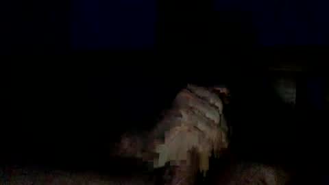 Snapshot of bigdickbcboy chatting on 11-11-25, 08:47 BigThickJuicy Cock online show from 11-11-25, 08:47