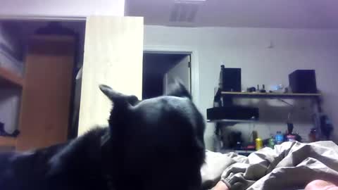 bigdickdaddy7201979564868 online show from 06-19-26, 06:40