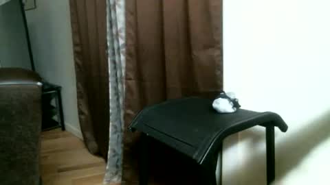 Snapshot of bigdickjimmywill chatting on 05-17-26, 12:01 CAJEinc online show from 05-17-26, 12:01