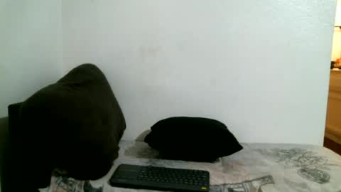 Snapshot of bigdickjimmywill chatting on 07-04-26, 08:31 CAJEinc online show from 07-04-26, 08:31