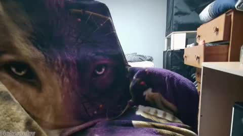 George Forest Dickyduby on all Socials online show from 11-12-25, 02:01