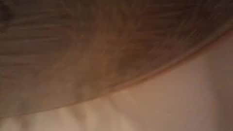 Snapshot of bigdmrp69 chatting on 01-09-25, 03:44 bigdmrp69 online show from 01-09-25, 03:44
