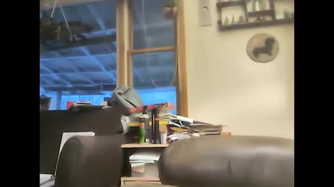 Snapshot of bigelectricrod chatting on 02-01-25, 11:54 bigelectricrod online show from 02-01-25, 11:54