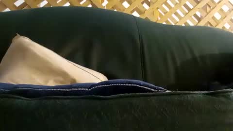 biggestboiiii online show from 06-07-26, 10:13