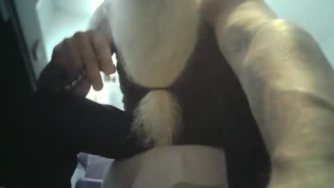 bigjeff01 online show from 02-11-26, 03:39