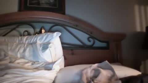 bigload1972 online show from 01-22-25, 03:09