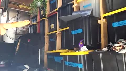 Snapshot of bigmanaround9 chatting on 12-15-25, 08:35 bigmanaround9 online show from 12-15-25, 08:35