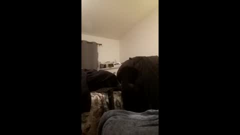 bigmeatywidesolelover online show from 04-21-26, 01:50