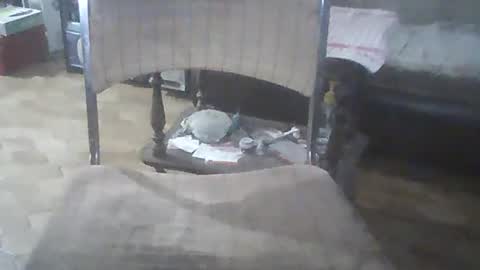 bigpenix online show from 12-21-24, 03:25