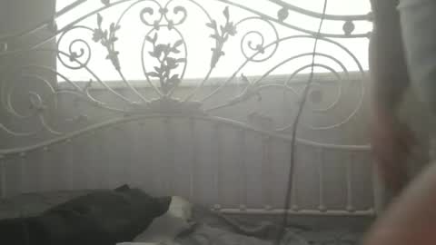 bigprdick101 online show from 02-12-25, 02:54