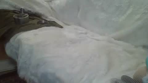 ...... online show from 12-14-24, 05:29