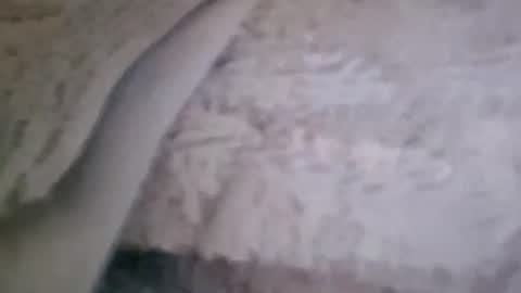bigsssnake69 online show from 07-09-26, 10:47