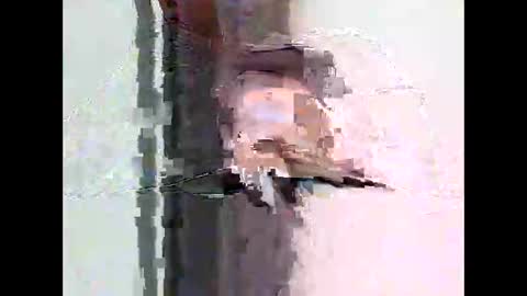 bigtrozo online show from 06-08-26, 04:29